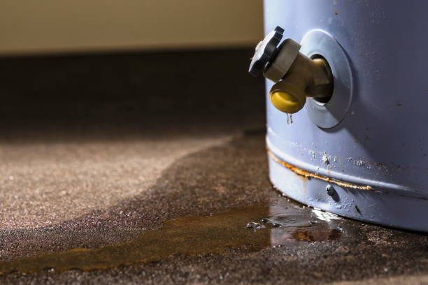 Best Flood restoration services  in Redkey, IN