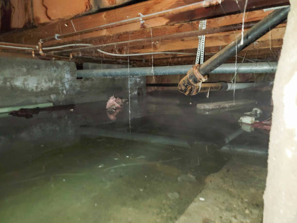Best 24-hour water damage restoration  in Redkey, IN