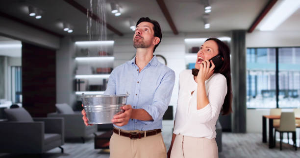 Best Local water damage restoration  in Redkey, IN