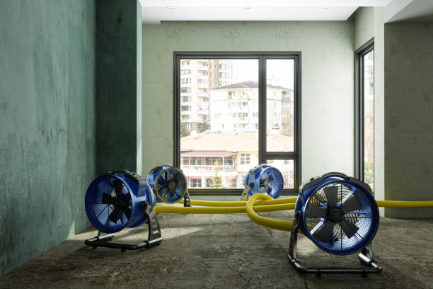 Best Basement water damage restoration  in Redkey, IN