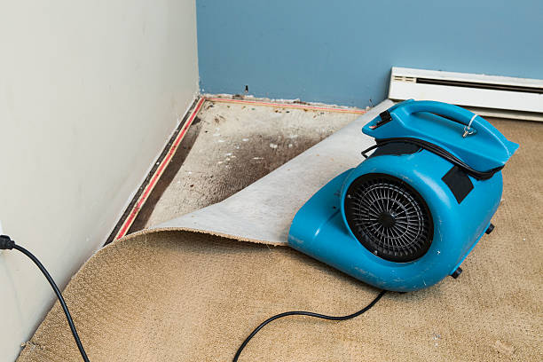 Best Water damage cleanup near me  in Redkey, IN